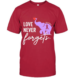 End Alzheimers Shirt Love Never Forgets Alzheimers Awareness T Shirt